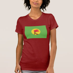 Camiseta Bandeira de Zaire