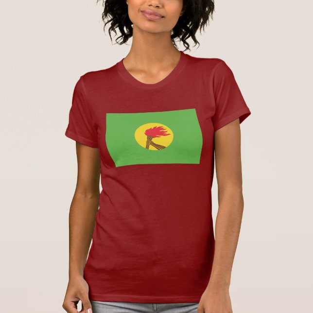 Camiseta Bandeira de Zaire (Frente)