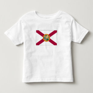 Camiseta Bandeira do Estado da Flórida
