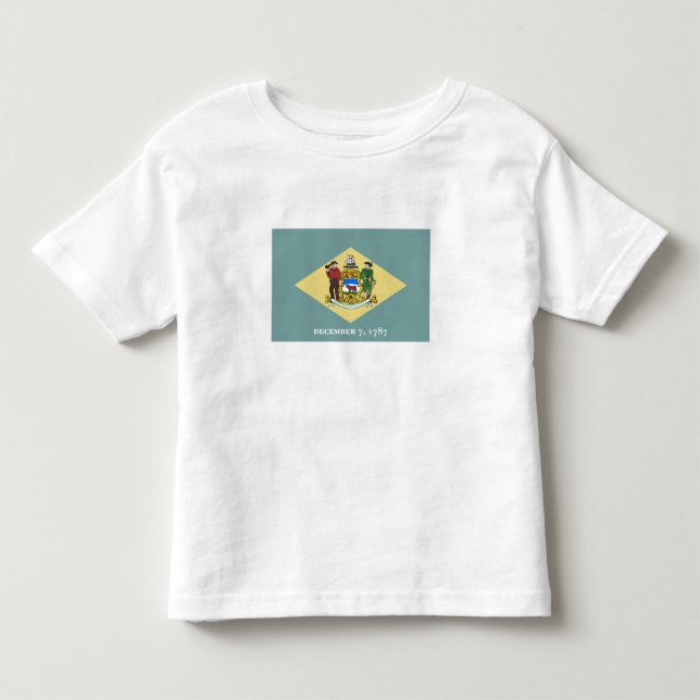 Camiseta Bandeira do Estado de Delaware (Frente)