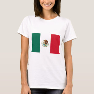 Camiseta Bandeira do México