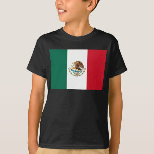 Camiseta Bandeira do México, Bandeira da República Mexicana