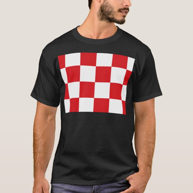 Camiseta Bandeira do Norte (Frente)