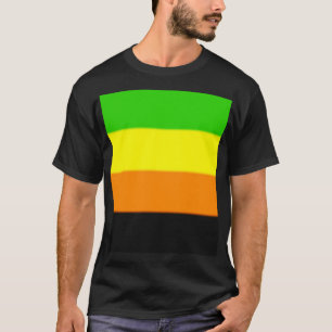 Camiseta Bandeira do orgulho de Fallln Aromantic