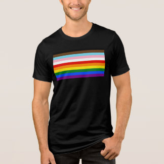 Camiseta Bandeira do Orgulho de Onze Listras da SlipperyJoe