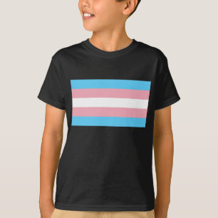 Camiseta Bandeira do orgulho do Transgender