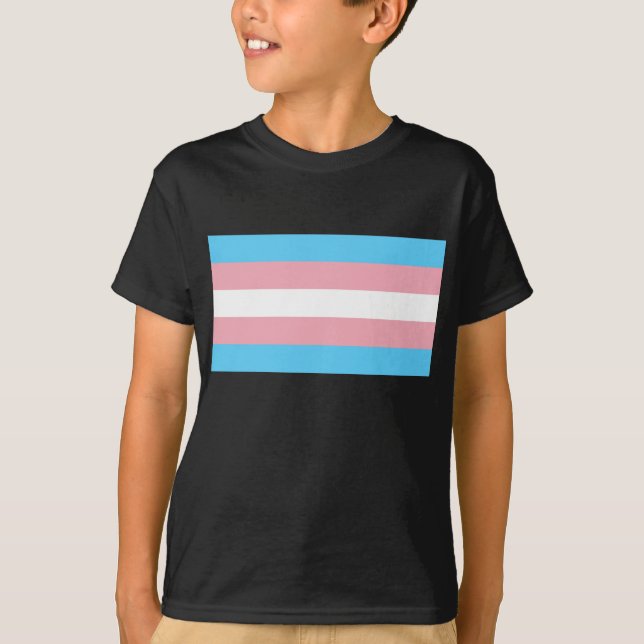 Camiseta Bandeira do orgulho do Transgender (Frente)