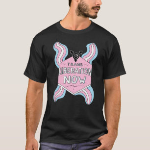 Camiseta Bandeira do Orgulho dos Direitos Transexuais