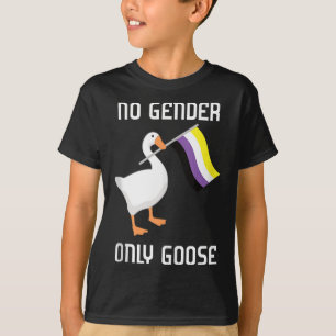 Camiseta Bandeira do Orgulho Sem Gênero do Ganso Não Binári
