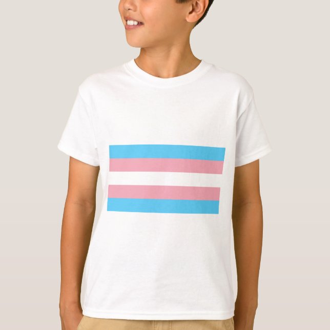 Camiseta Bandeira do Orgulho Transgênero - LGBT Trans Rainb (Frente)