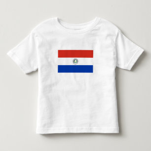 Camiseta Bandeira do Paraguai