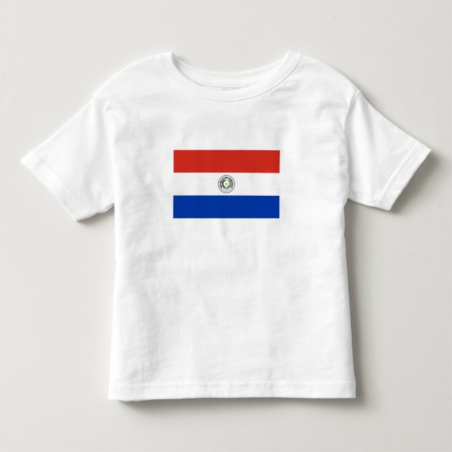 Camiseta Bandeira do Paraguai (Frente)