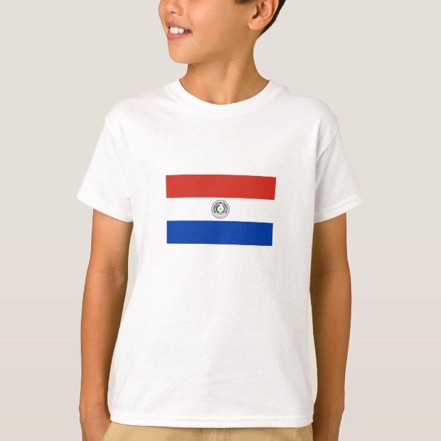 Camiseta Bandeira do Paraguai (Frente)