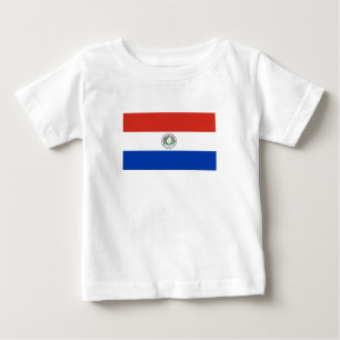 Camiseta Bandeira do Paraguai