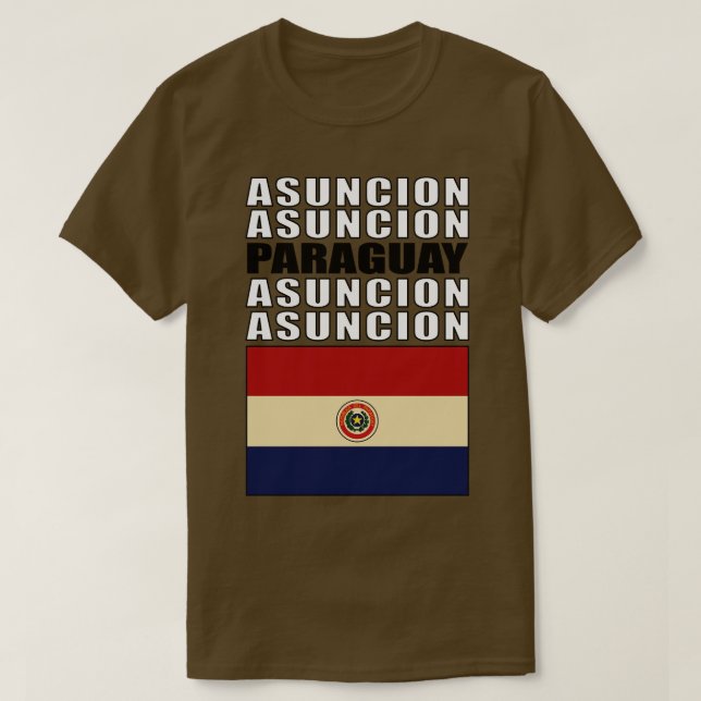 Camiseta Bandeira do Paraguai (Frente do Design)