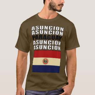 Camiseta Bandeira do Paraguai