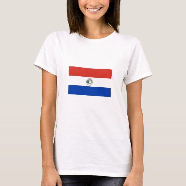 Camiseta Bandeira do Paraguai (Frente)