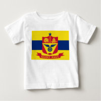 Bandeira do Santo Paul (Minnesota)