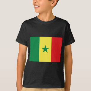 Camiseta Bandeira do Senegal