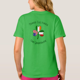 Camiseta Bandeira do Shamrock Irlandês Irlandês Personaliza