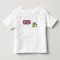 Bandeira do Território Antártico Britânico