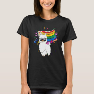 Camiseta Bandeira Lgbt Divertida Lhama Gay Lésbica Resista