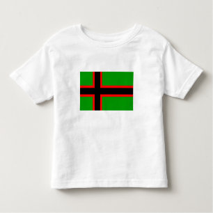Camiseta Bandeira Nacional da Carélia