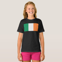 Bandeira Nacional da Irlanda, padrão irlandês, Est