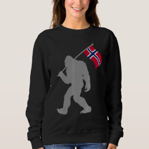 Camiseta Bandeira Norge Ou Norueguesa Na Bandeira Da Norueg