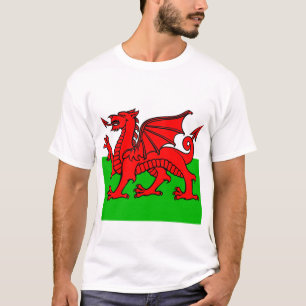 Camiseta Bandeira Welsh