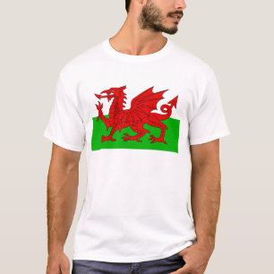 Camiseta Bandeira Welsh / Wales - Imagem de Alta Qualidade 