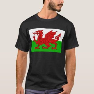 Camiseta Bandeira Welsh / Wales - Imagem de Alta Qualidade 