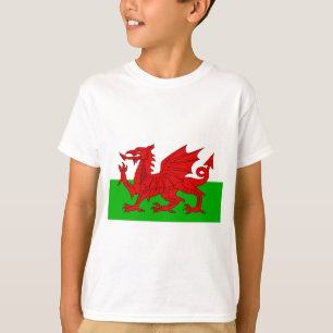 Camiseta Bandeira Welsh / Wales - Imagem de Alta Qualidade