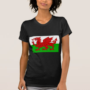 Camiseta Bandeira Welsh / Wales - Imagem de Alta Qualidade 