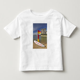 Camiseta Bandeiras e quadro de resgate de surf