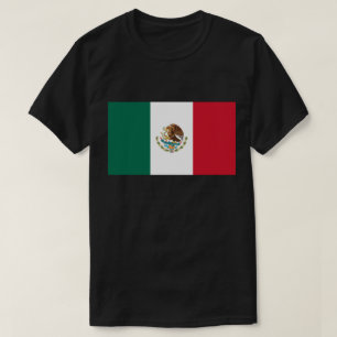 Camiseta Bandera De México