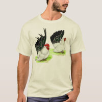 Bantams brancos pretos japoneses