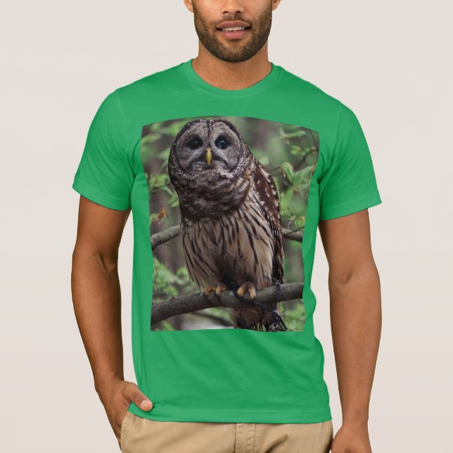 Camiseta Barred Owl (Frente)