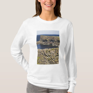 Camiseta Basalto poligonal, Staffa, ao largo da Ilha de Mul
