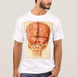 Camiseta Base Cérebro E Menciona O Litógrafo