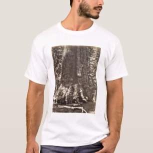 Camiseta Base do gigante do urso, 'do livro de Yosemite