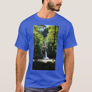 Camiseta Bash Bish Falls Oversize
