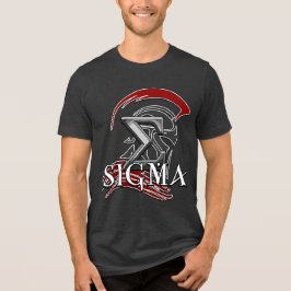 Camiseta Básica Masculina SIGMA 3b