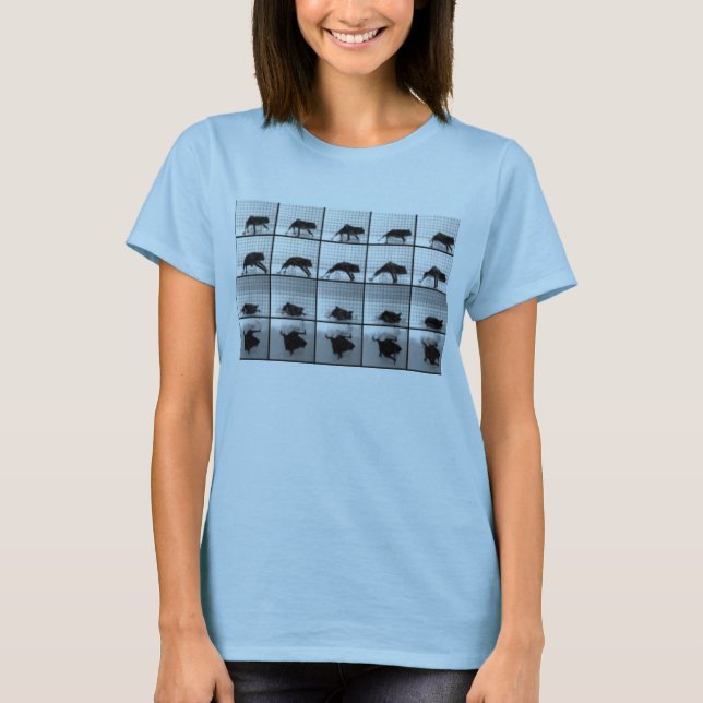 Camiseta bastões ir (Frente)