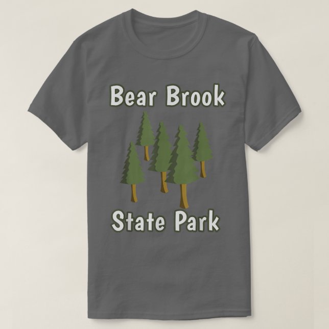 Camiseta Bear Brook State Park New Hampshire Forest Woods C (Frente do Design)