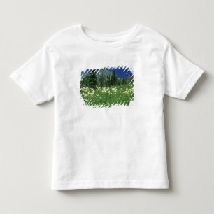 Camiseta Beargrass no Eunice Lake, Mt. Rainier NP, WA,