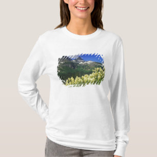 Camiseta Beargrass no Logan Pass no Parque Nacional Glacier