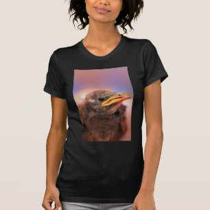 Camiseta Bebê