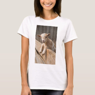 Camiseta Bebê Bode Sorridente Arte de Parede em Tela Fazend