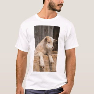 Camiseta Bebê Bode Sorridente Arte de Parede em Tela Fazend